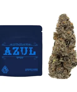Buy The Rare Azul Strain