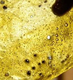 Buy rosebud shatter online uk
