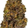 Buy Granddaddy Purple