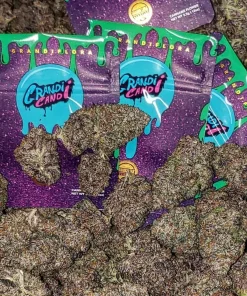 Grandi Candi Strain