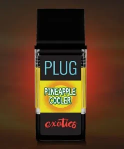 Buy PINEAPPLE COOLER
