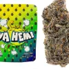 Buy Ya Hemi strain