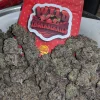 BUY WILD THORNBERRIES STRAIN