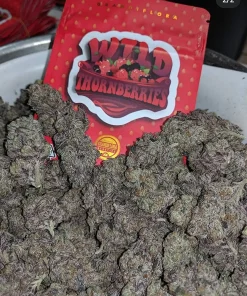 BUY WILD THORNBERRIES STRAIN