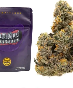 Buy Yadada Strain