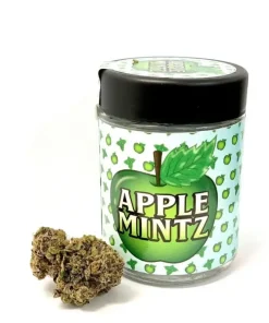 Buy Apple Mintz Strain | Backpackboyz