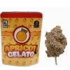 Buy Apricot Gelato Strain | Backpackboyz