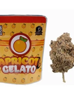 Buy Apricot Gelato Strain | Backpackboyz