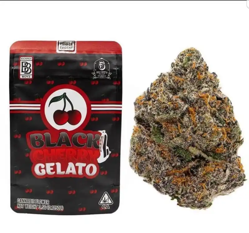 Black Cherry Gelato | Backpackboyz - Image 2