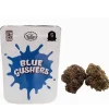Buy Blue Gushers strain | Backpackboyz