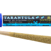 Buy Ganja Gold/Blue Tarantula