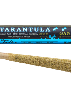 Buy Ganja Gold / Blue Tarantula