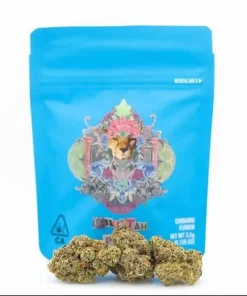 Buy Cheetah Piss Strain | Cookies