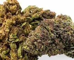 Buy Chemdawg Kush