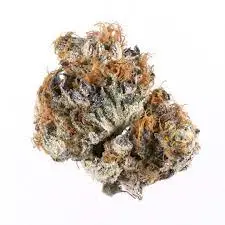 Buy Blueberry Weed strain