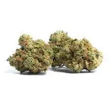 Buy Mango Haze 