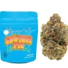 Buy Georgia Pie strain | Cookies