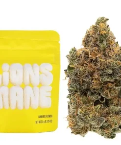 Buy Lions Mane Strain | Cookies