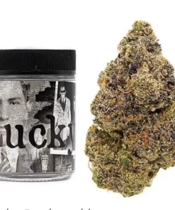 Buy Lucky Strain | Backpackboyz