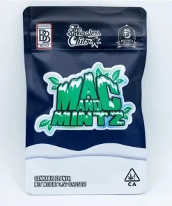 BUY MAC AND MINTZ BACKPACK BOYZ ONLINE