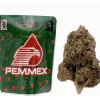 Buy Penmex Strain | Backpackboyz