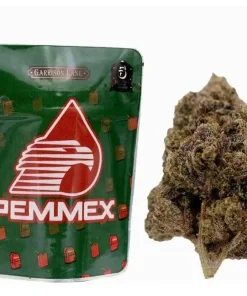 Buy Penmex Strain | Backpackboyz