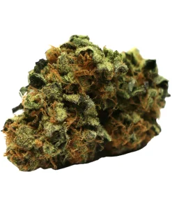Buy Pineapple express