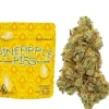 Buy Pineapple Piss Strain | Cookies