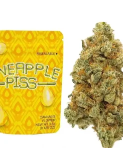 Buy Pineapple Piss Strain | Cookies