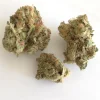 Buy Strawberry Cough Weed