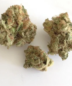 Buy Strawberry Cough Weed