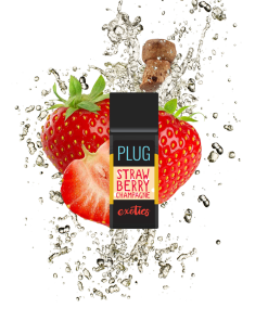 Buy Strawberry Champagne